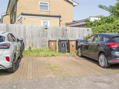 Picture 21